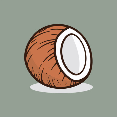 Coconut illustration. Isolated on white background. Vector illustration.のイラスト素材