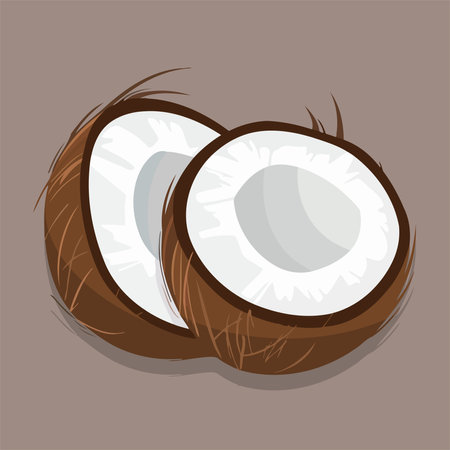 Coconut icon. Vector illustration of a coconuts.のイラスト素材
