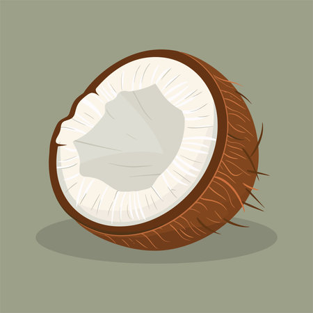 Coconut vector illustration in flat design style. Exotic fruit.のイラスト素材