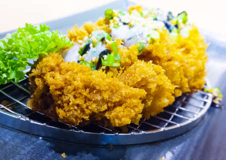 Japanese pork cutletの写真素材