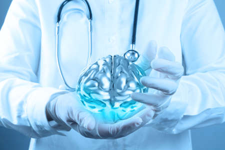 medical  doctor with brain3d meatl in his hands as conceptの写真素材