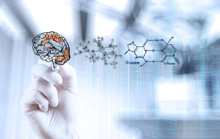 doctor neurologist hand drawing brain with computer interface as conceptの写真素材