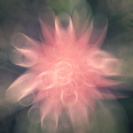 blurred flower backgroundの写真素材