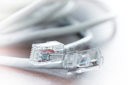 close up of RJ45 Plug Lan Network on wood desk