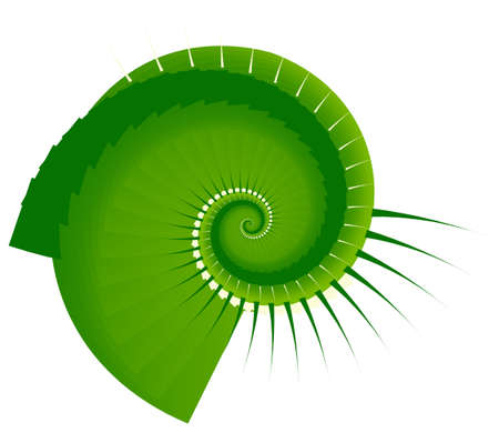 Abstract Swirl on White Backgroundの写真素材