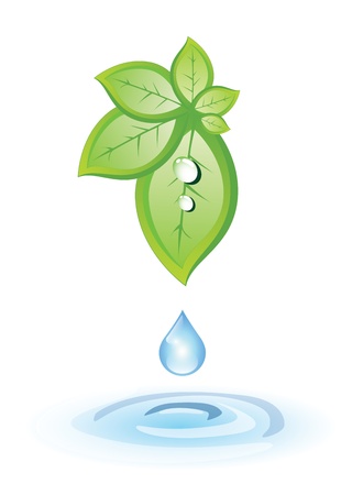 Green leaves and a drop into waterのイラスト素材