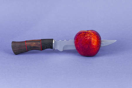 Hunting knife with a red Apple on the blade, close-up.の写真素材