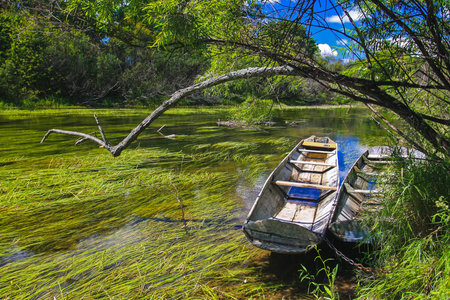 Wooden boat on the river Bank, the boat is tied with a chain to a tree, under the water of the summer river green grass.の写真素材