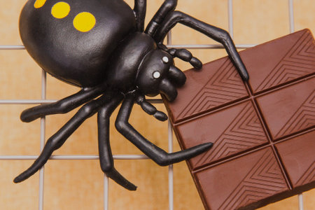 Spider eats chocolate on a cage, close up.