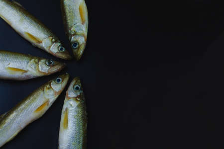 Raw fish on a black background laid out in a semicircle, navaga fish, navaga, copy space.の写真素材