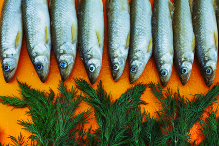 Raw fish with dill on an orange background, navaga fish, navaga.
