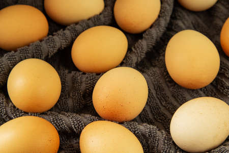 Two hamburger buns lie on a slice of a tree trunk with brown eggs and a glass of milk on a background of textured wood next to oak leaves.の写真素材