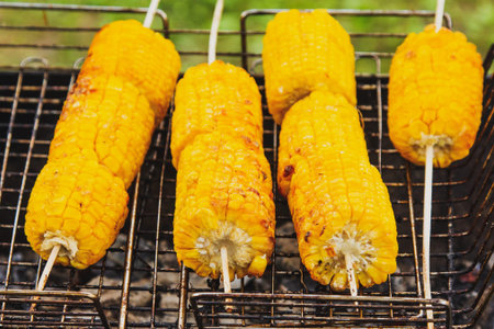 Grilled corn on the grill, ready to serve, outdoor recreation in summer.の写真素材