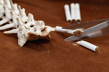 Anti-smoking concept, close up skeleton spine of a dog and scissors cutting cigarette.