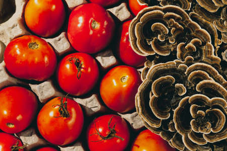 Red tomatoes and cut toxic mushrooms are in an egg carton.の写真素材