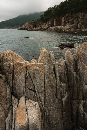 Large rocks on the beach on the background of a hill with deciduous trees, summer seascape.