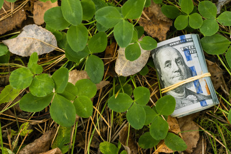 American dollar in the autumn forest, close-up.