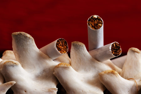 Close up cigarette and the skeleton of a dog's spine on red background, Quit Smoking, Stop Smoking Cigarette Concept.の写真素材