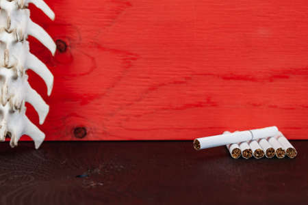 Close up cigarette and the skeleton of a dog's spine on red background, Quit Smoking, Stop Smoking Cigarette Concept.の写真素材