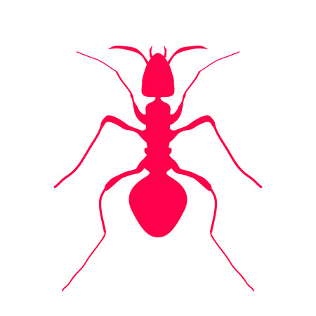 Red silhouette of ant, logo design. vector illustrationのイラスト素材