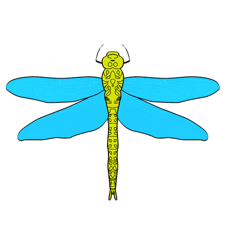 Abstract design dragonfly. Insect with wings. drawn dragongly. Gragonfly isolated on white background. Vector illustrationのイラスト素材