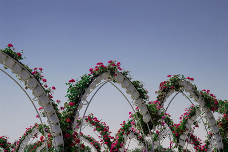 DUBAI, UAE - APRIL 23,2015. Park alley with many flowers . Dubai Miracle Garden in the UAE. United Arab Emiratesのeditorial素材