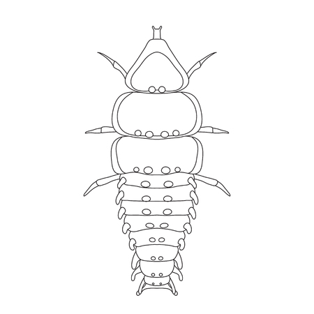 Trilobite beetle Duliticola Platerodrilus. Sketch of  Trilobite beetle.  Trilobite beetle isolated on white background.  Trilobite beetle Design for coloring book.  hand-drawn  Trilobite beetle.  Vector illustrationのイラスト素材