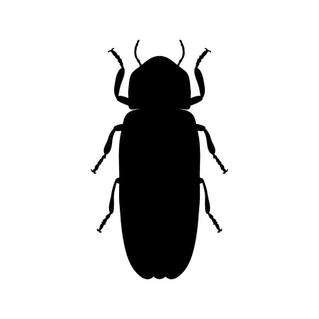 Firefly beetle Lampyridae. Sketch of Firefly beetle. Firefly beetle isolated on white background. Firefly beetle Design for coloring book.  hand-drawn Firefly beetle. Vector illustrationのイラスト素材