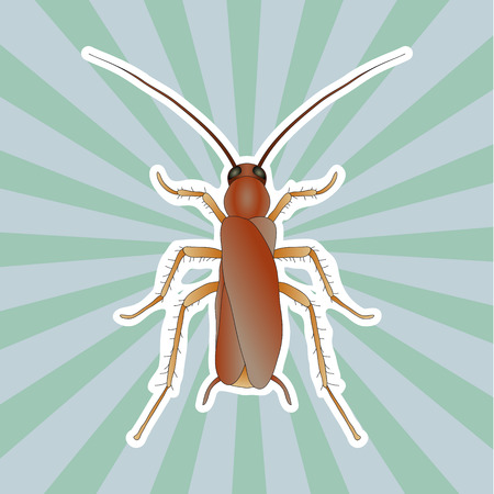 Insect anatomy. Sticker Blattella germanica. cockroach. Sketch of cockroach.  cockroach  hand-drawn cockroach.のイラスト素材