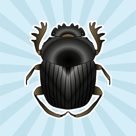 Insect anatomy. Sticker Geotrupidae dor-beetle . Sketch of dor-beetle. dor-beetle. dor-beetle scarab hand-drawn scarab, dor-beetle.のイラスト素材