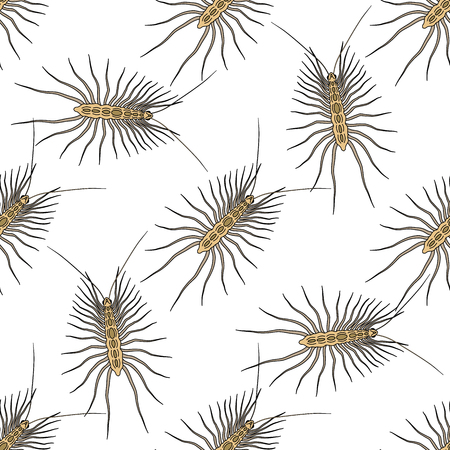 Seamless pattern with Scutigera coleoptrata. millipede. hand-drawn house centipede . Vector illustrationのイラスト素材