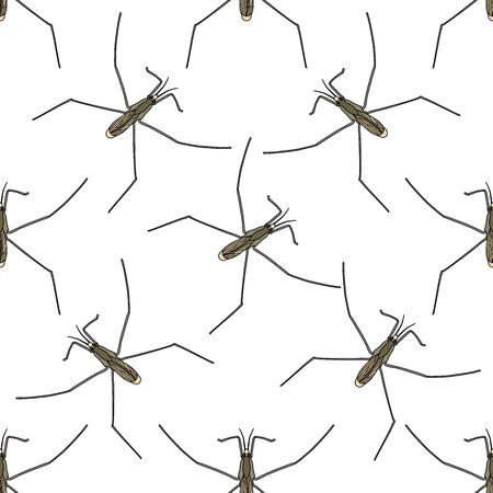 Seamless pattern with Common water strider. Gerridae. GERRIS LACUSTRIS. hand-drawn water strider . Vector illustrationのイラスト素材
