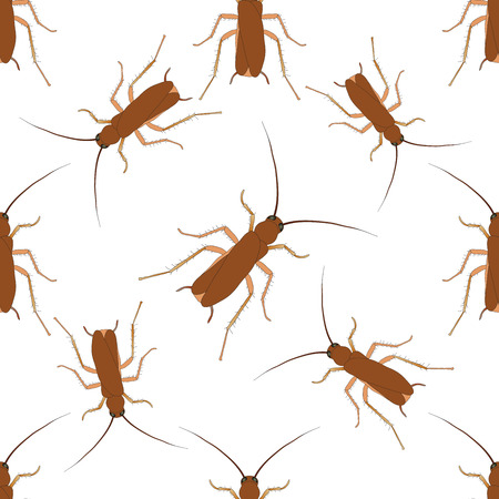 Seamless pattern with cockroach. blattella germanica   hand-drawn cockroach. Vector illustrationのイラスト素材