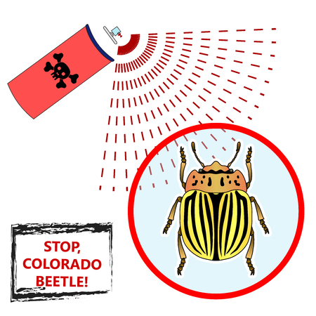 Spray against insects insecticides. anti pesticides, colorado beetle, face of dead insect in poison toxic cloud isolated on white backgrond, vector illustrationのイラスト素材