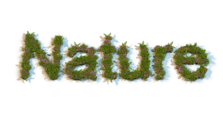 nature word typed by flowers and grassの写真素材