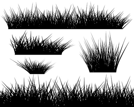 Silhouette of grass on white background for your designのイラスト素材