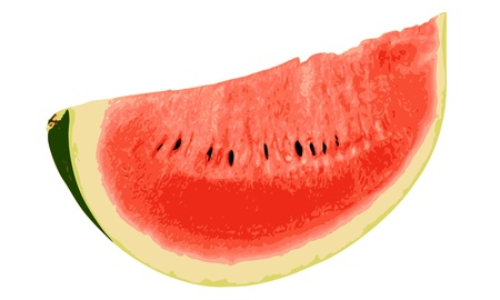 Watermelon close-up isolated on white backgroundのイラスト素材