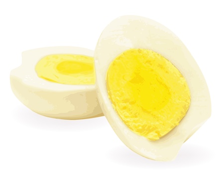 Poached eggs on a white backgroundのイラスト素材