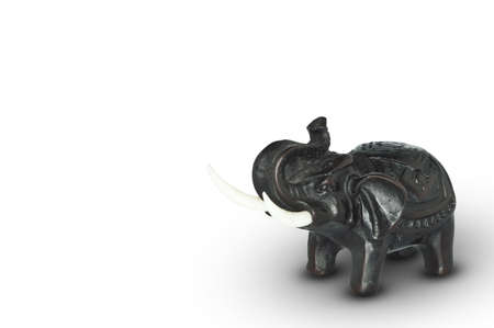 Black elephant standingの写真素材