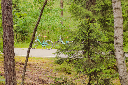 bikes on the asphalt road in the forestの写真素材