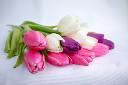 bunch of tulip flowers isolated over whiteの写真素材