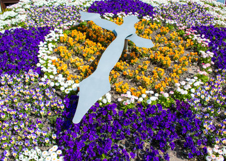 Clock of flower in the Wernigerosde- flower clockの写真素材