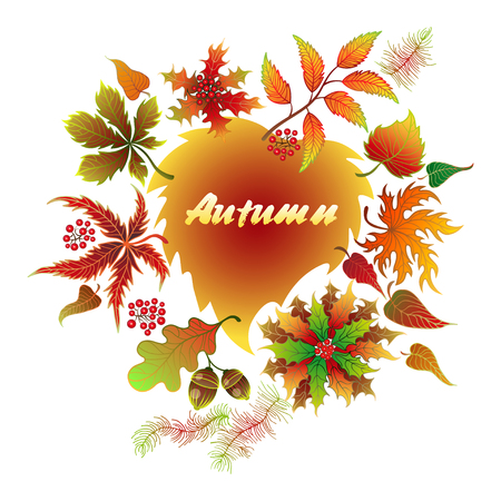 Autumn typographic fall leafのイラスト素材