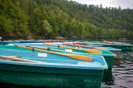 Blue and brown paddle boots on the pier in the canal lake, trees and reflections in the water