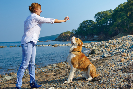 Beautiful woman with her dog near seaの写真素材