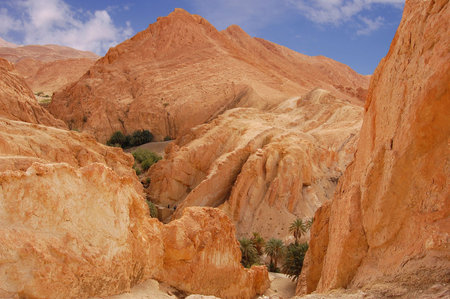 Mountainous oasis in Tunisia. Sahara, Chebika