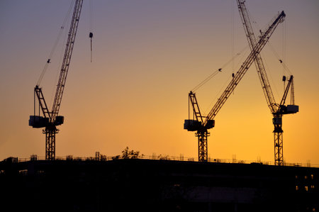 Industrial construction cranes silhouettes. sunset. UAE, Dubai