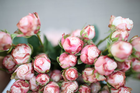 The big bunch of wild mini roses that make any girls heart happy and full, concept of good mood and appreciationの写真素材