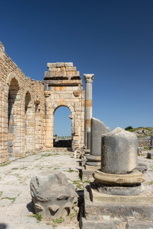 The antique city Volubilis in Morocco Africaの写真素材
