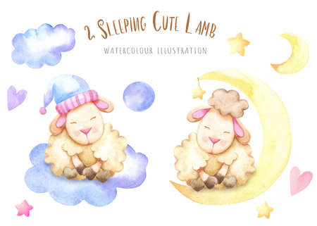 watercolor sleeping lambs with elementsの写真素材